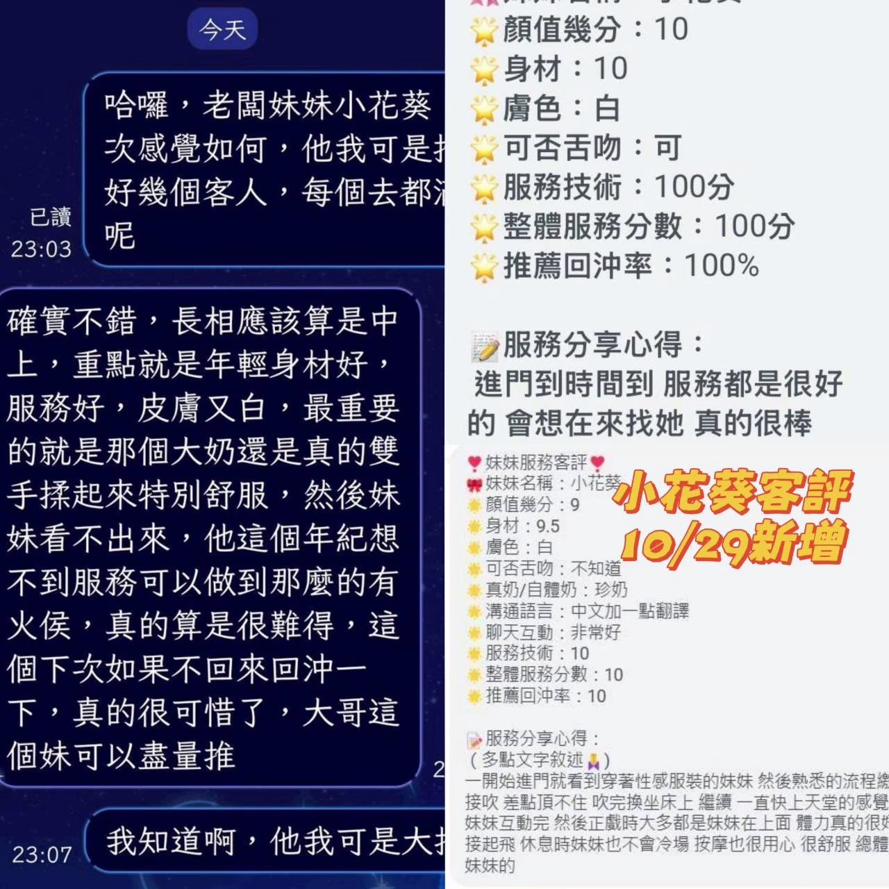 台南定點茶-小花葵